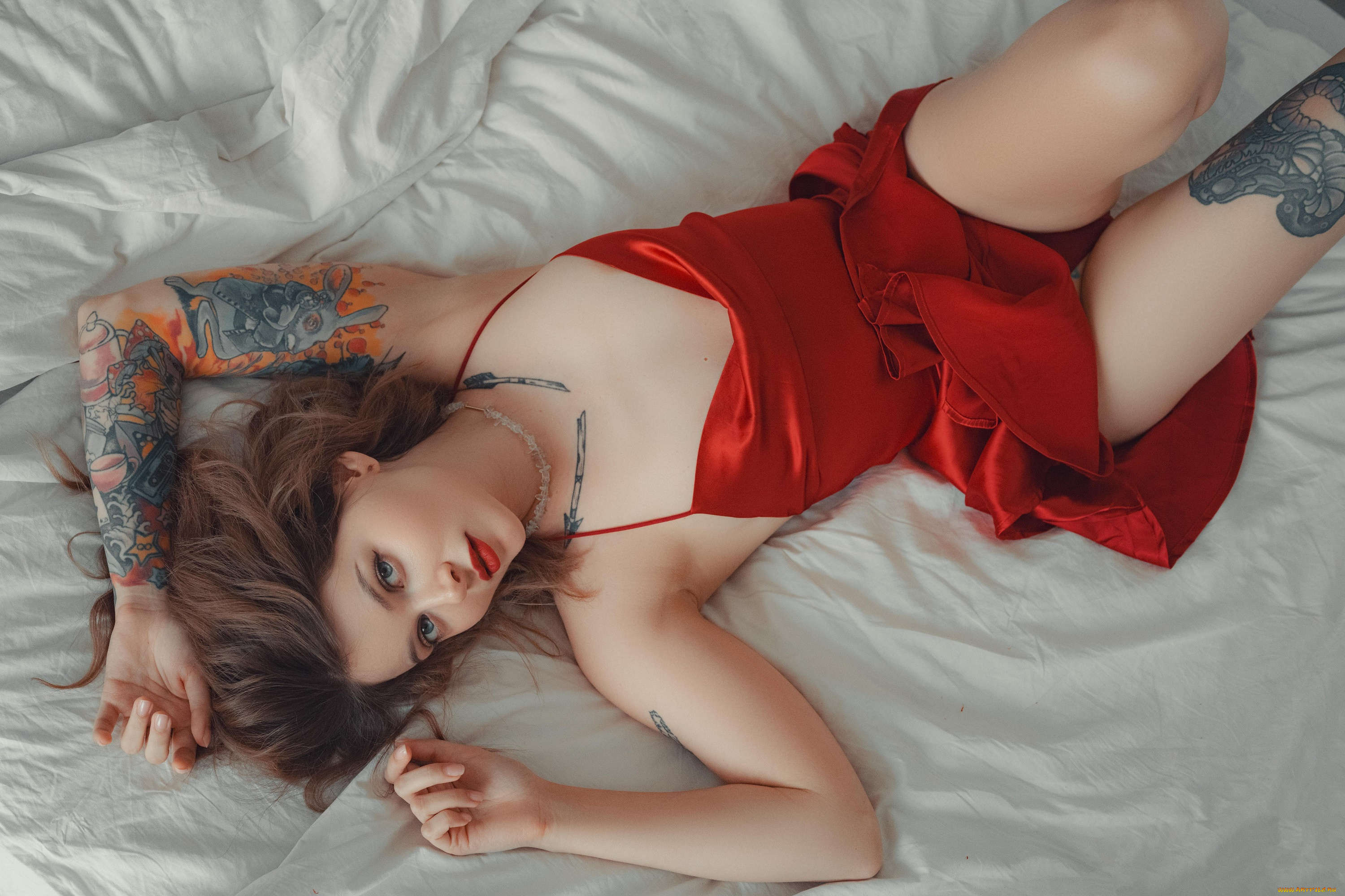 ����������� �������, �������, - ��������,  �������, �������, �������, �������, ������������, �����������, ������, ������, ��������, ������, �����, �������, ��������, ������, ������, �����������, �����, �����, ������, ��������, �����, ����������, ������, �, ���������, ���������, ��, ����������